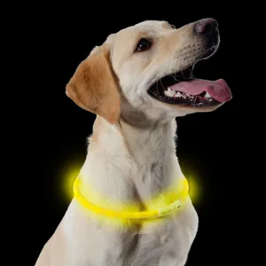 Ancol Rechargeable Night-Time Safety Halo