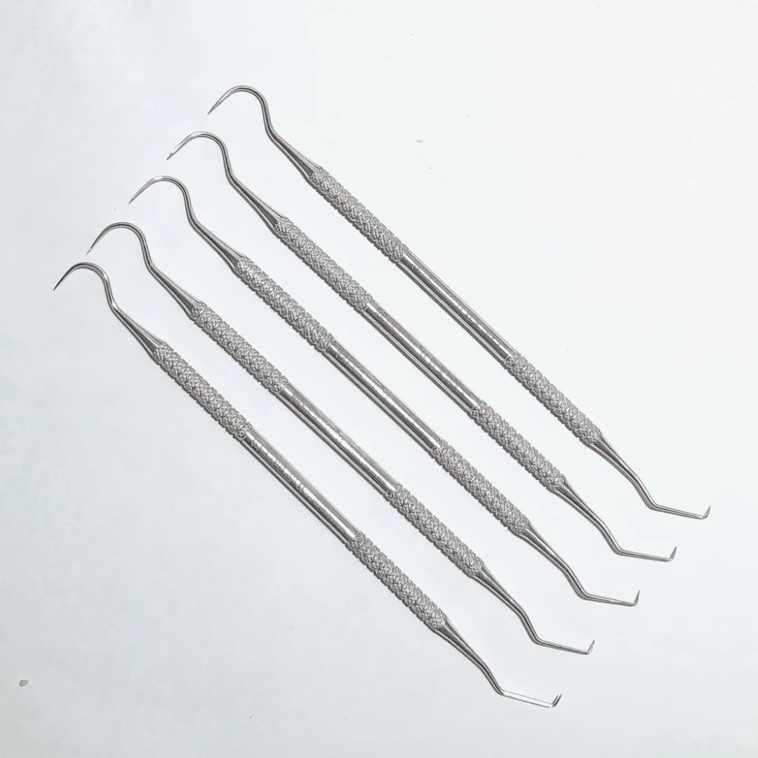 Double Ended Dental Examination Instruments (ExplorerProbe, 5 Pieces)