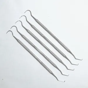 Double Ended Dental Examination Instruments (ExplorerProbe, 5 Pieces)