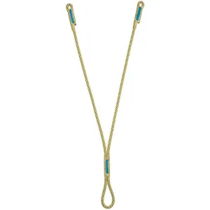Dynapark V Lanyard PAS
