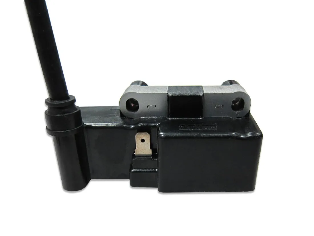 Internal CDI Electron Ignition Coil