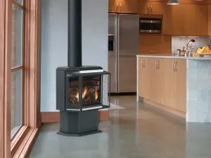 Iron Strike Epic Freestanding Direct Vent Gas Stove EPIC-IPI