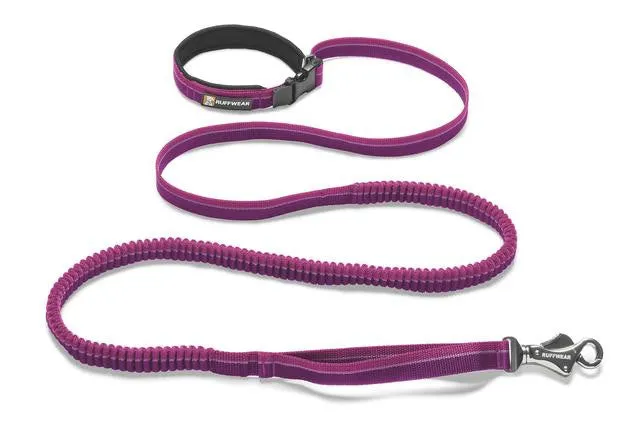 Roamer Leash