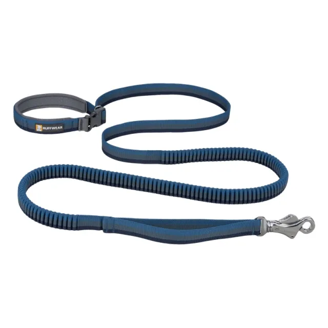 Roamer Leash