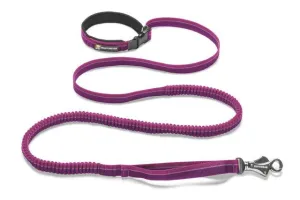 Roamer Leash