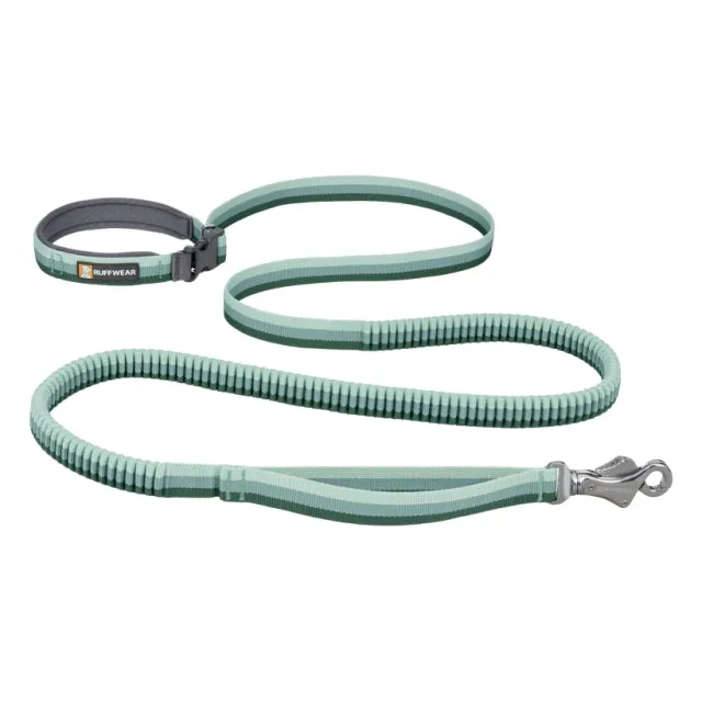 Roamer Leash